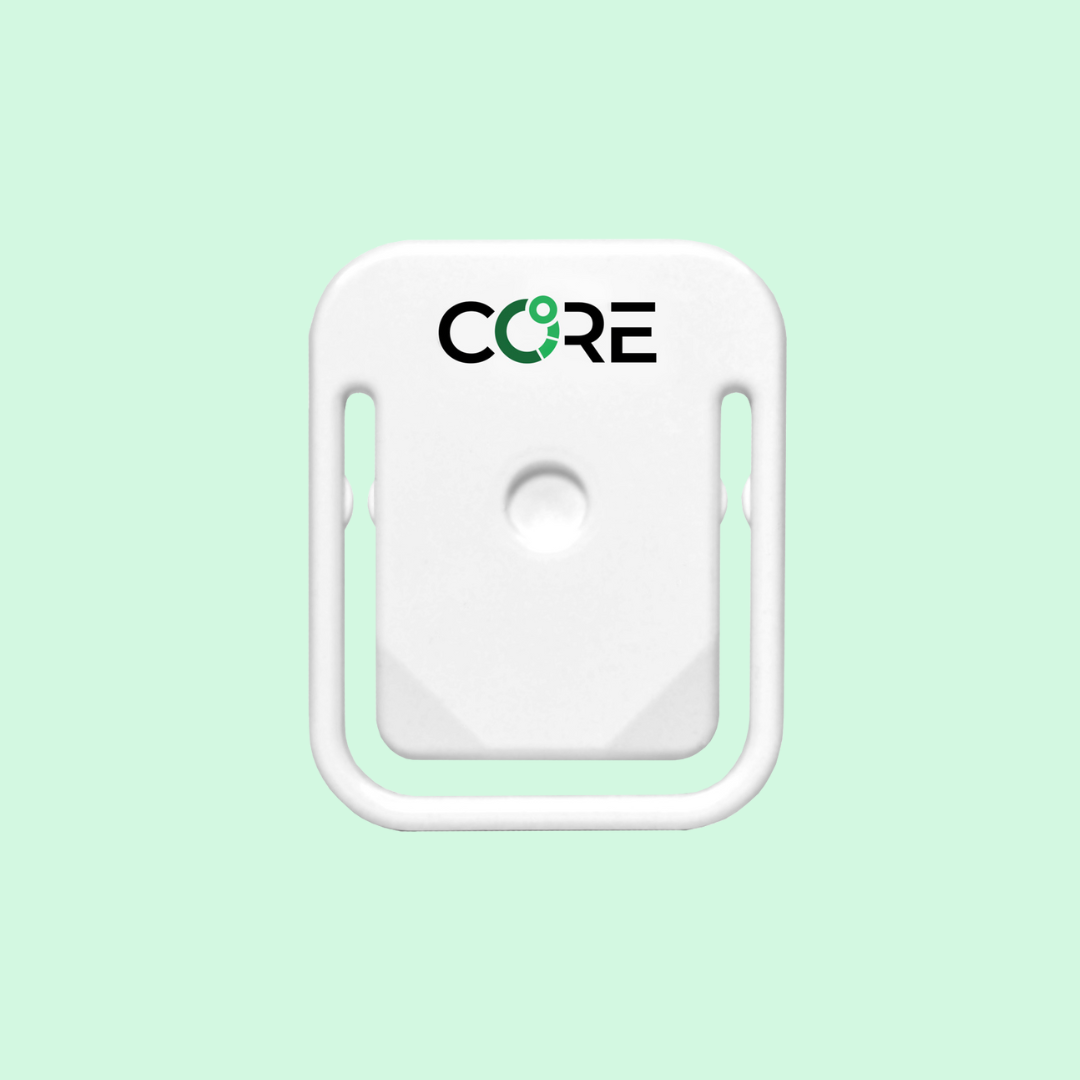 The CORE sensor