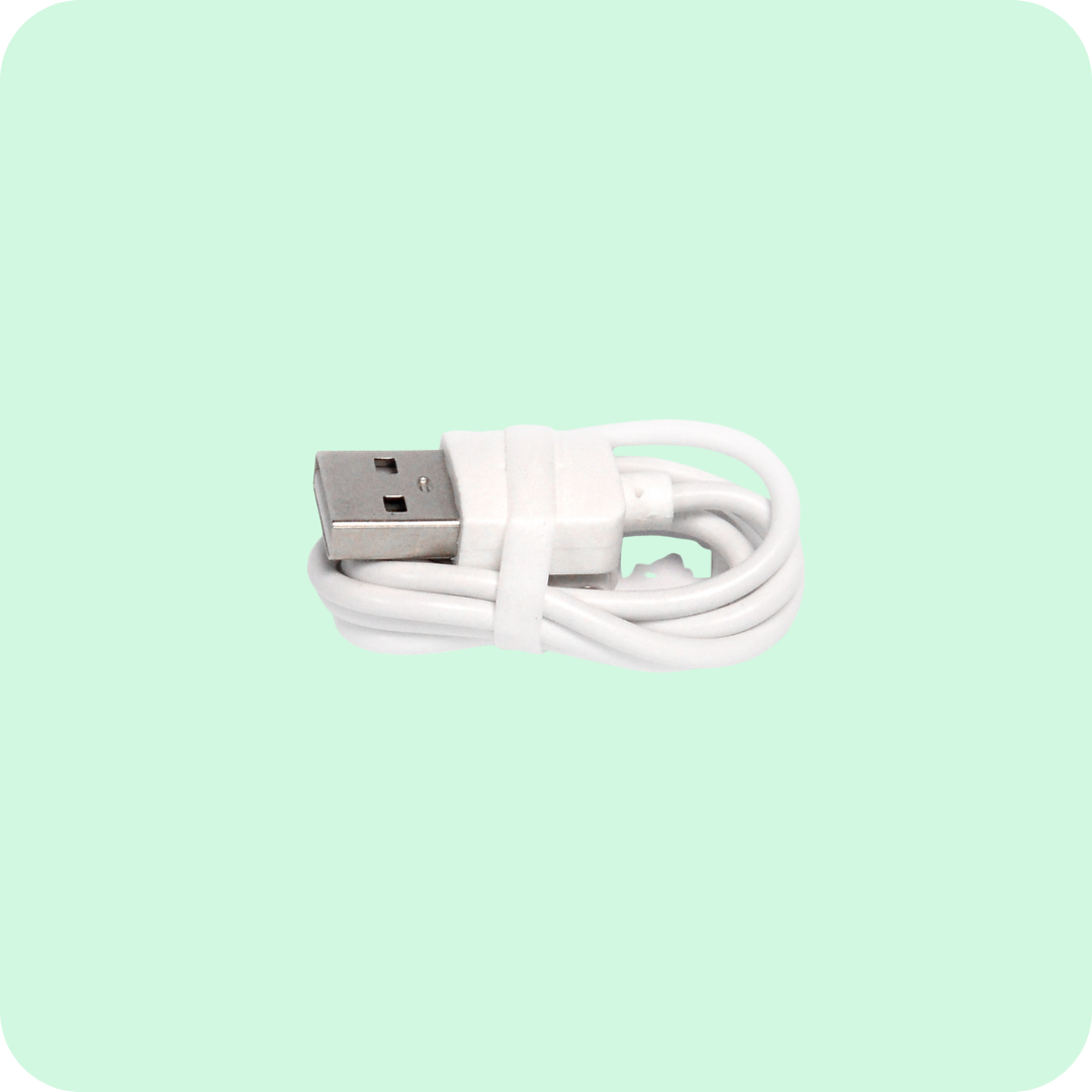 CORE Charging Cable